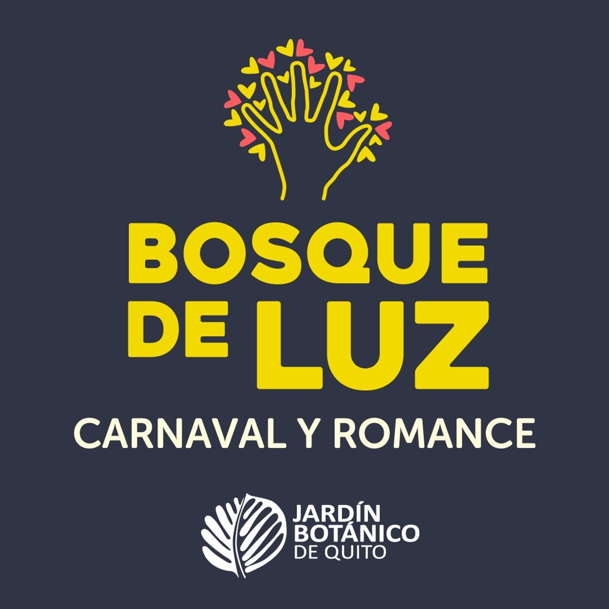Bosque de Luz - Tour